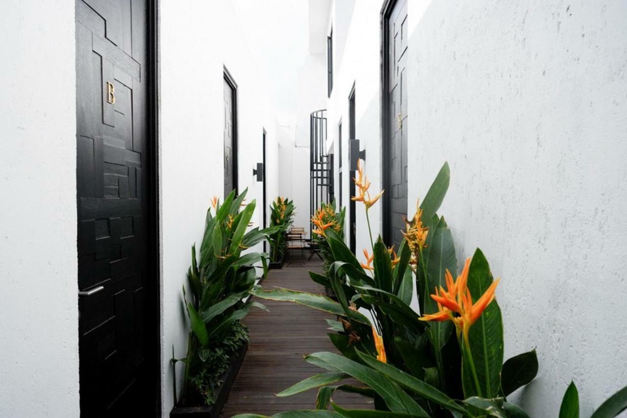 Reddoorz @ Jalan Raya Semat Canggu Vandrehjem Bali Eksteriør billede